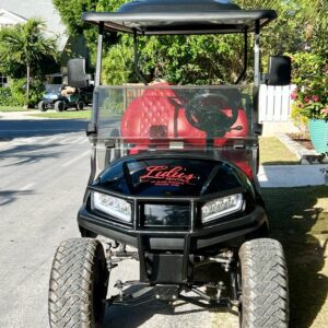 6 Seater Luxury Golf Cart