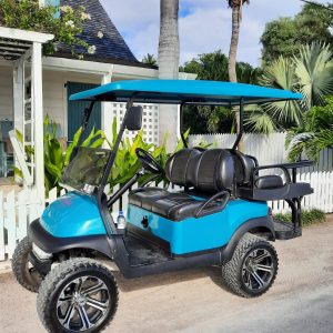 4 Seater Luxury Golf Cart